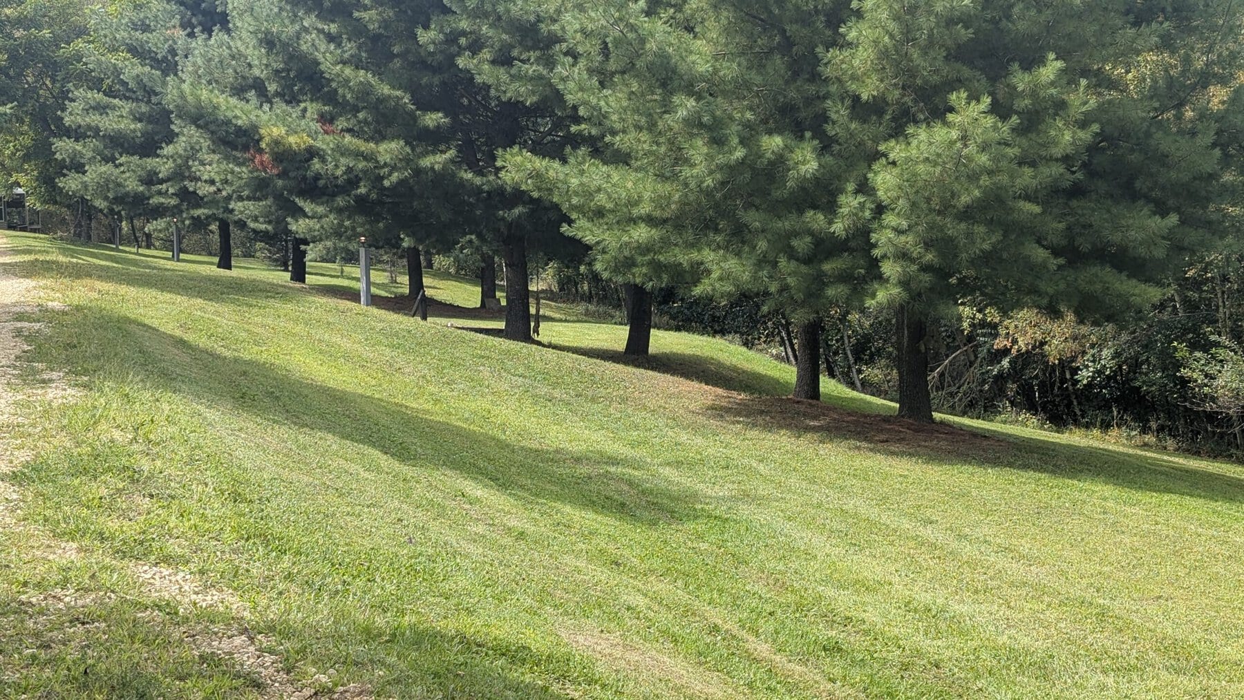 PXL 20260831 184405735 scaled - Pheasant Ridge Resort